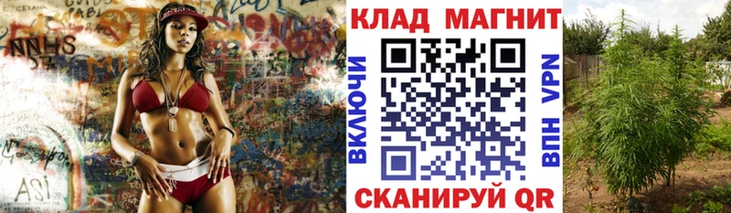 Наркотические вещества Власиха kraken как зайти  АМФ  Конопля  COCAIN 