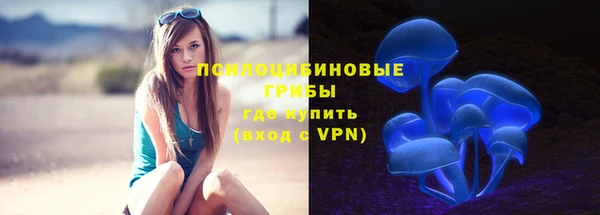 амфетамин Лабытнанги