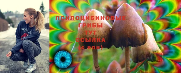 мефедрон мука Новосибирск